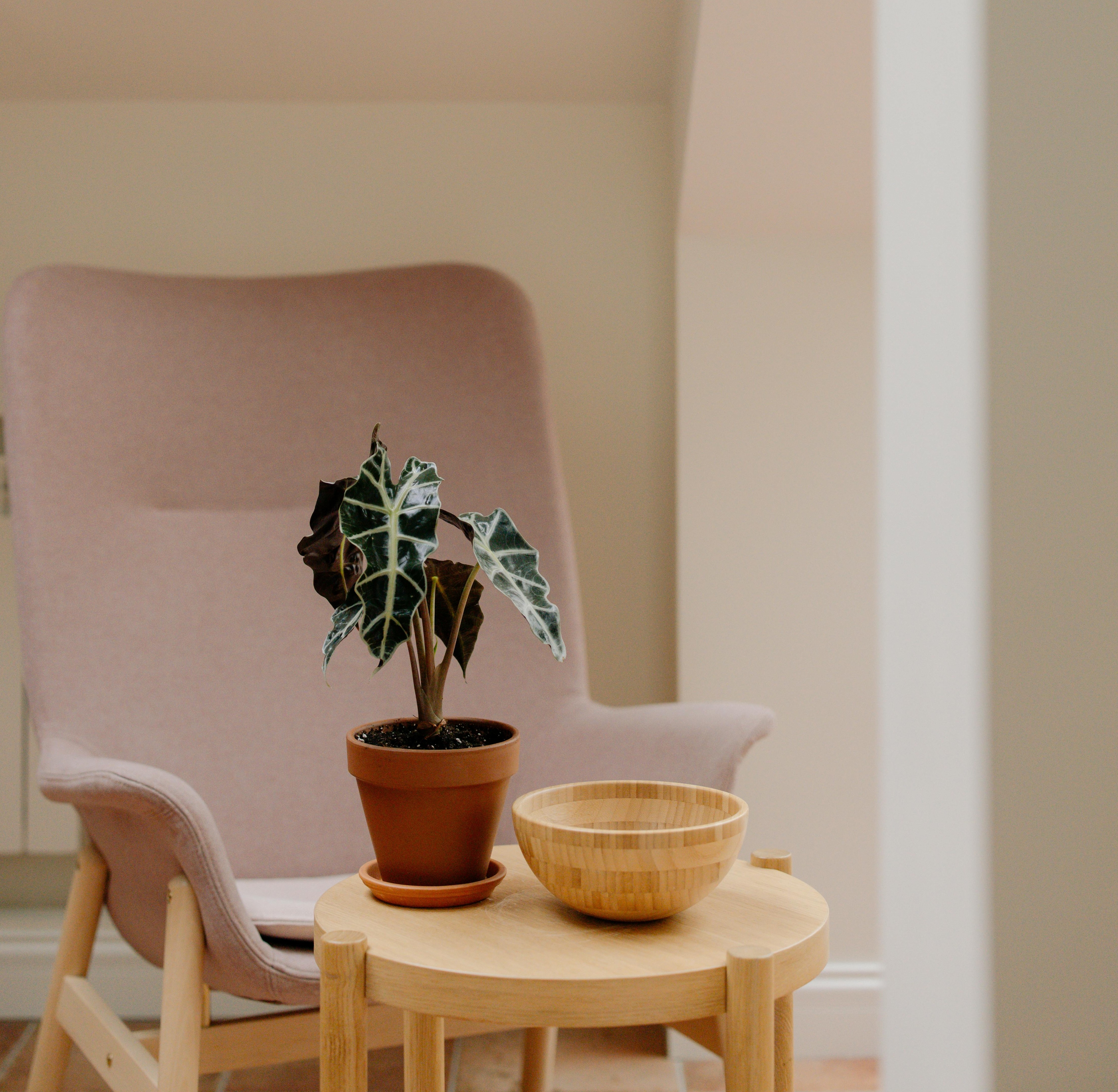 黃家盈 Shirley — 香港心理學會註冊輔導心理學家